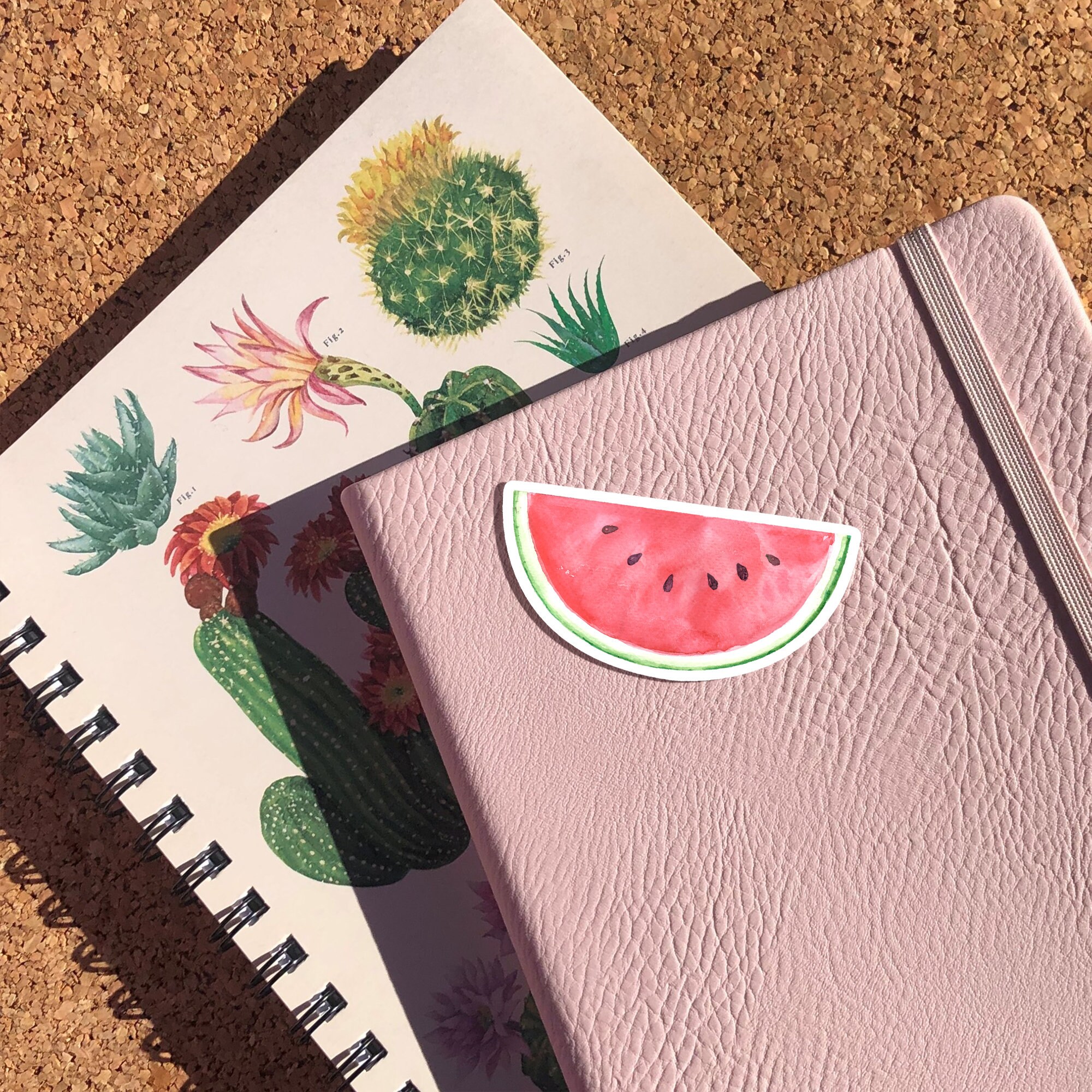 Discover Watermelon Slice Sticker, Pink Water Bottle Stickers, Cute Planner Stickers, Watermelon Sticker