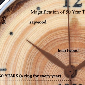 May include: Close-up of a wooden watch face with a magnified view of the tree rings. The watch face shows the bark, sapwood, and heartwood of the tree. The text "Magnification of 50 Year Tree Watch" and "50 YEARS (a ring for every year)" is visible on the watch face.