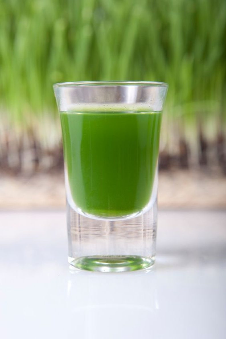 May include: A clear glass shot glass filled with bright green liquid, likely a health shot. The glass sits on a white surface, with a blurred background of green grass.