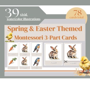 Tarjetas Montessori de 3 partes de primavera y Pascua Tarjetas didácticas de actividades Montessori con temática de primavera Educación Montessori Currículo de vida de Charlotte Mason