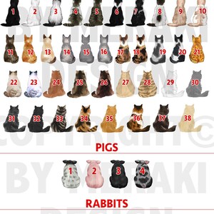 May include: A chart with illustrations of cats, pigs, and rabbits. The chart is labeled "Picture - 4" and has the title "Other Animals". The chart is divided into three sections: "Cats", "Pigs", and "Rabbits". Each section has a numbered grid of illustrations of the animals.