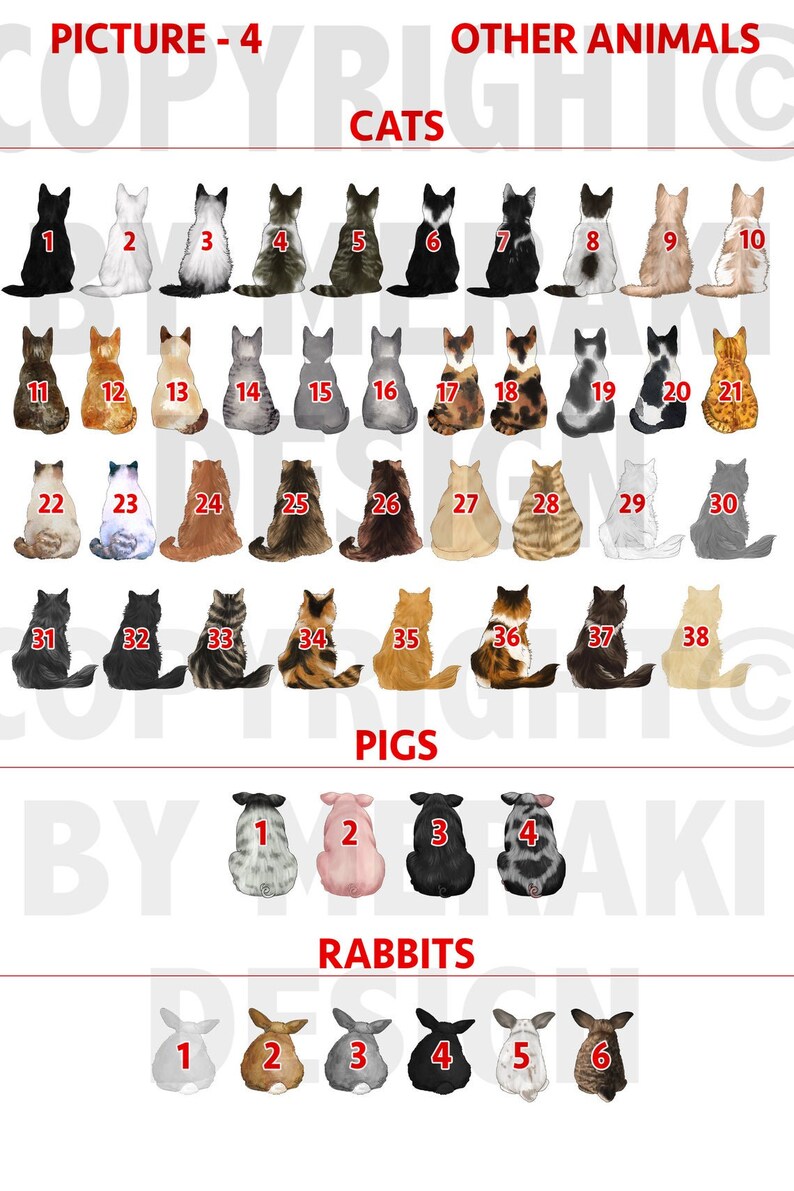 May include: A chart with illustrations of cats, pigs, and rabbits. The chart is labeled "Picture - 4" and has the title "Other Animals". The chart is divided into three sections: "Cats", "Pigs", and "Rabbits". Each section has a numbered grid of illustrations of the animals.