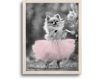 Funny Pomeranian Print, Pomeranian Wall Art, Pomeranian Gifts, Pomeranian Art, Pomeranian Decor, Pomeranian Photo, Whimsical Animals