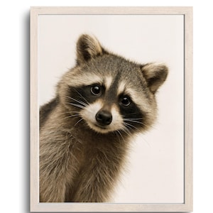 Funny Racoon Bathroom Wall Art, Racoon Gift For Her, Racoon Gift For Him, Cute Toilet Humor Decor, Racoon Animal Poster, Digital Download