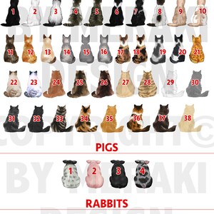 Op de afbeelding: Een diagram met illustraties van katten, varkens en konijnen. Het diagram is gelabeld "Picture - 4" en heeft de titel "Andere dieren". De dieren zijn genummerd van 1 tot 38 voor katten, van 1 tot 4 voor varkens en van 1 tot 6 voor konijnen.