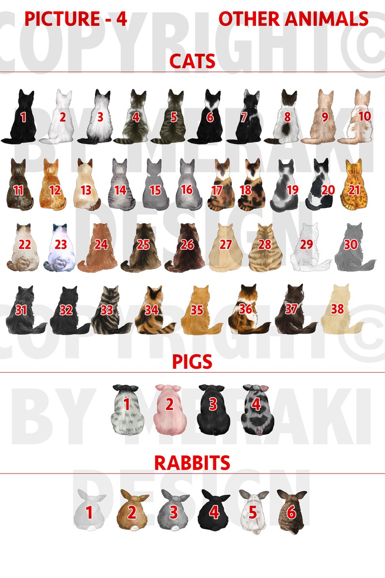 Op de afbeelding: Een diagram met illustraties van katten, varkens en konijnen. Het diagram is gelabeld "Picture - 4" en heeft de titel "Andere dieren". De dieren zijn genummerd van 1 tot 38 voor katten, van 1 tot 4 voor varkens en van 1 tot 6 voor konijnen.