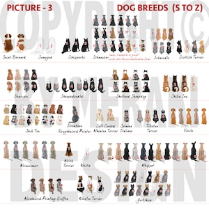 May include: A colorful chart with illustrations of different dog breeds, organized alphabetically from S to Z. Each breed is represented by a row of illustrations of dogs sitting in a row, with numbers indicating the order of the dogs in the row. The chart includes breeds such as Saint Bernard, Samoyed, Schipperke, Schnauzer, Schnoodle, Scottish Terrier, Shar-Pei, Sheepadoodle, Shetland Sheepdog, Shiba Inu, Skik Tzu, Slovakian Roughhaired Pointer, Soft Coated Wheaten Terrier, Spinone Italiano, Tibetan Terrier, Vizsla, Weimaraner, Welsh Terrier, Westie, Wirehaired Pointing Griffon, Wirefox Terrier, and Yorkshire.