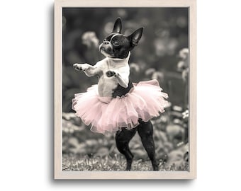 Funny Boston Terrier Print, Boston Terrier Wall Art, Boston Terrier Gifts, Boston Terrier Art, Boston Terrier Decor, Boston Terrier Photo