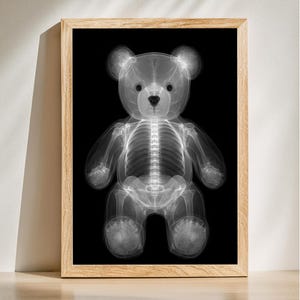 May include: A framed print featuring an X-ray image of a teddy bear against a black background. The bear's skeletal structure is visible in shades of gray and white. The frame is made of light-colored wood.