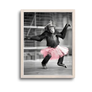 Impresión divertida de mono, arte mural de mono, regalos de mono, decoración de mono, foto de mono, mono con vestido, animales extravagantes, descarga digital