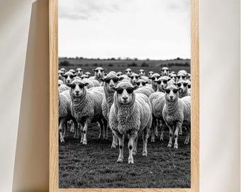 Lustiges Schaf Poster, cooles Schaf mit Sonnenbrille, schwarz weiß Tierdruck, Bauernhaus Wandkunst, humorvolle druckbare Kunst, digitaler Download