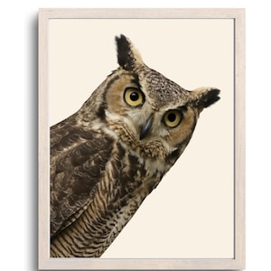 Funny Owl Bathroom Wall Art, Owl Gift For Her, Owl Gift For Him, Cute Toilet Humor Decor, Owl Animal Poster, Digital Download