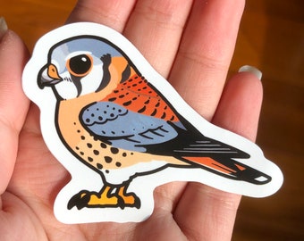 Cute Raptor bird stickers: American Kestrel (waterproof)