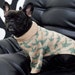 see more listings in the Dog hoodie Dog Sweater section