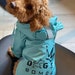 see more listings in the Dog Raincoat section