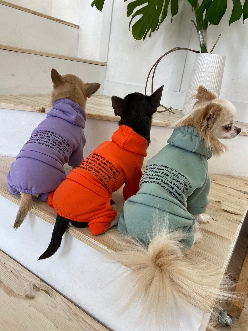 Chándal para perro, traje para perro, disfraces para perro, pijama para perro, chándal para perro, ropa para perro, ropa para mascotas, abrigo para perro, chaqueta para perro, suéter para perro imagen 3