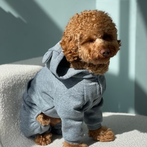 Tracksuit for Dog, Dog Suit, Dog Сostumes, Pyjama for Dog, Dog Tracksuit, Dog clothes, Pet clothes, Dog coat, Dog Jacket, Dog Sweater image 6