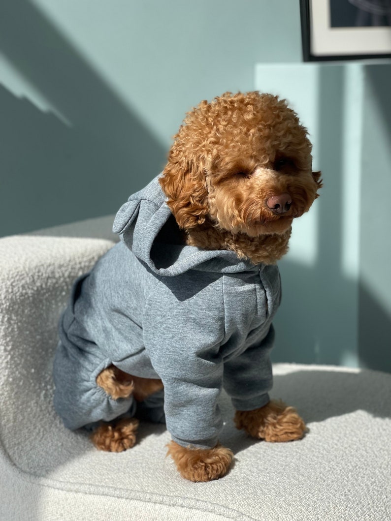 Tracksuit for Dog, Dog Suit, Dog Сostumes, Pyjama for Dog, Dog Tracksuit, Dog clothes, Pet clothes, Dog coat, Dog Jacket, Dog Sweater image 6