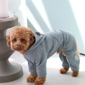 Tracksuit for Dog, Dog Suit, Dog Сostumes, Pyjama for Dog, Dog Tracksuit, Dog clothes, Pet clothes, Dog coat, Dog Jacket, Dog Sweater image 1