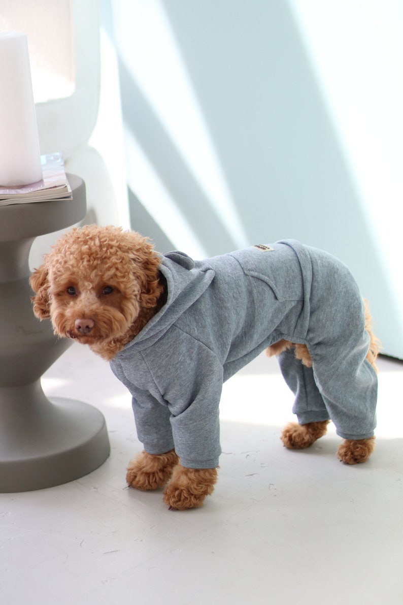 Tracksuit for Dog, Dog Suit, Dog Сostumes, Pyjama for Dog, Dog Tracksuit, Dog clothes, Pet clothes, Dog coat, Dog Jacket, Dog Sweater image 1