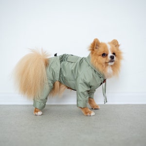 Dog Raincoat, Dog Rain Jacket, Pet Rain Jacket, Waterproof Dog Coat, Dog Jacket, Raincoat For Dog, Jacket For Dog, Windproof For Dog image 2