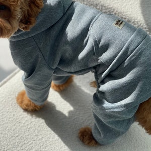 Tracksuit for Dog, Dog Suit, Dog Сostumes, Pyjama for Dog, Dog Tracksuit, Dog clothes, Pet clothes, Dog coat, Dog Jacket, Dog Sweater image 2