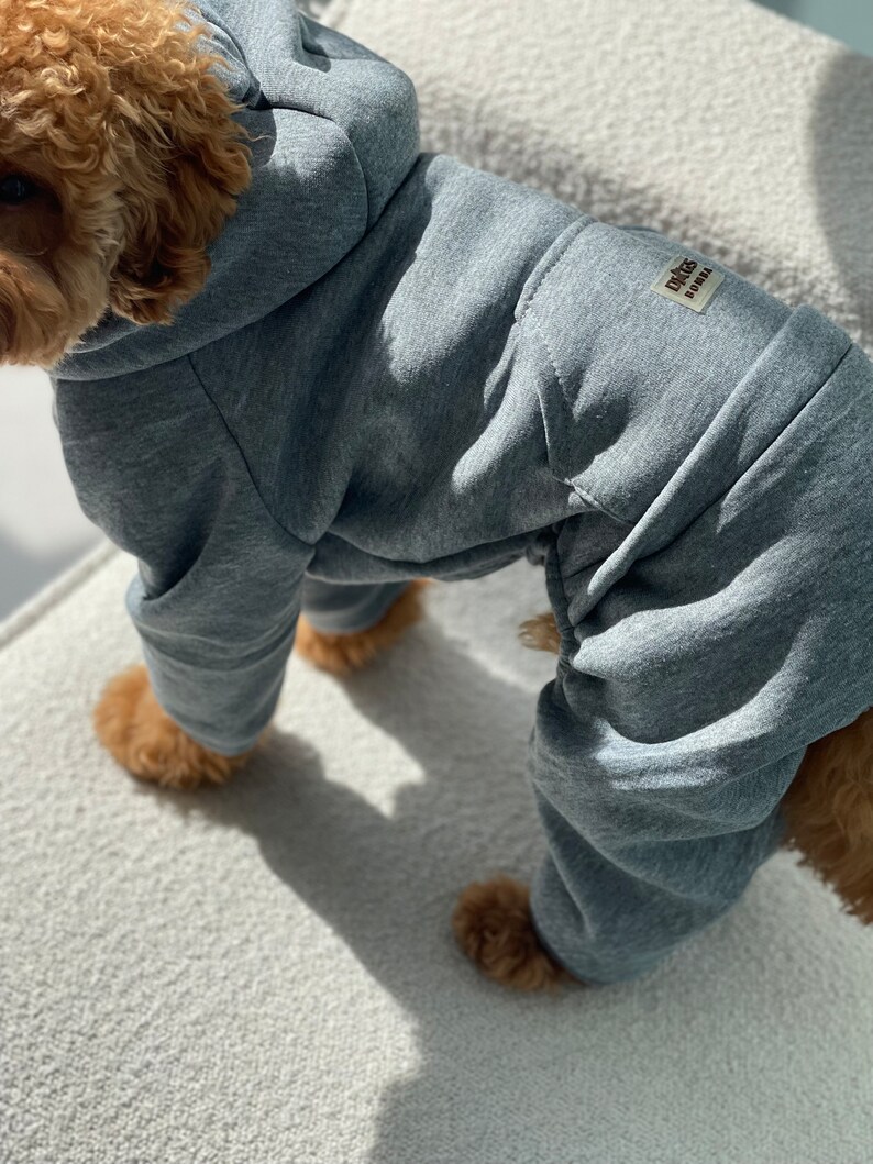 Tracksuit for Dog, Dog Suit, Dog Сostumes, Pyjama for Dog, Dog Tracksuit, Dog clothes, Pet clothes, Dog coat, Dog Jacket, Dog Sweater image 2