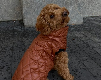 Dog Vest, Dog Coat, Dog jacket, Dog winter coat, Dog warm coat, Dog Warm Clothes, Dog snowsuit, Winter jackets for dogs, Waterproof dog coat