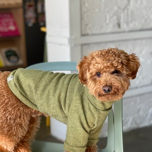 Dog Sweater, Warm Dog Sweater, Dog Sweatshirt, Dog Knitted, Dog Shirt, Dog Clothing, Dog coat, Dog hoodie, Dog coat hood, Warm dog hoodie image 2