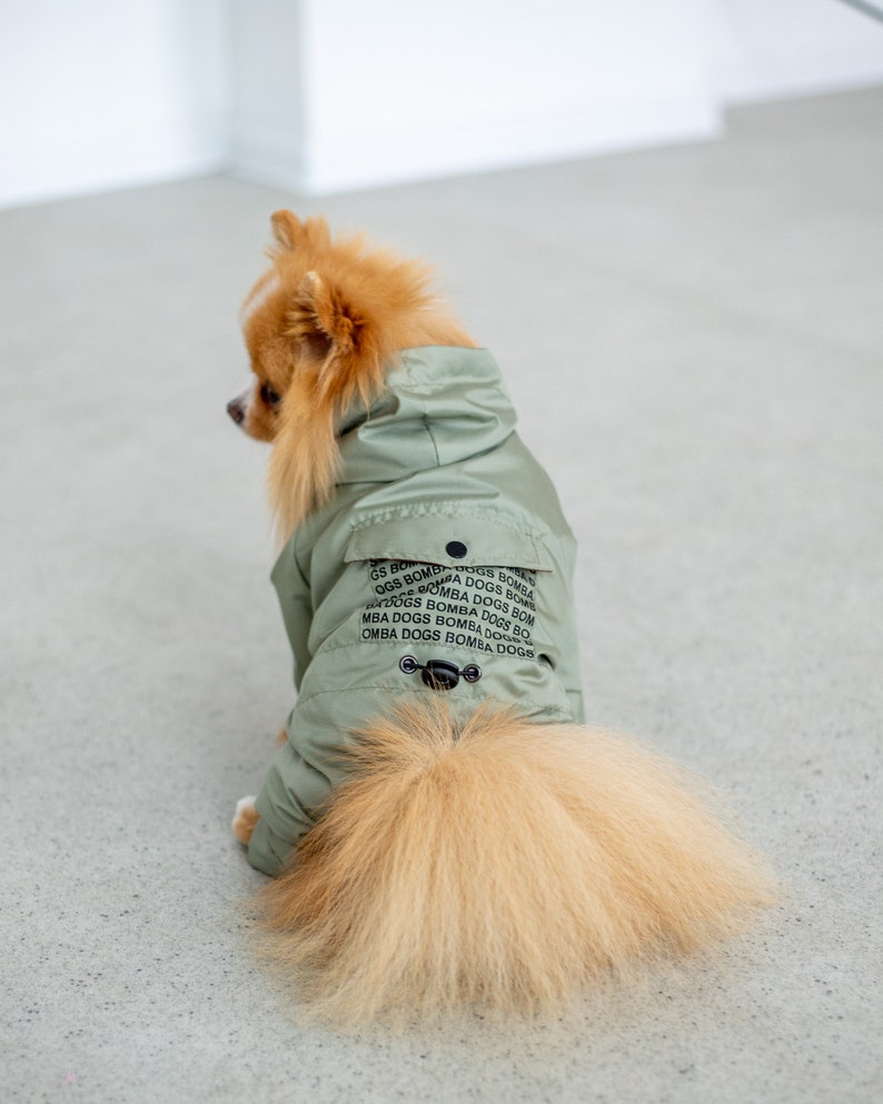 Dog Raincoat, Dog Rain Jacket, Pet Rain Jacket, Waterproof Dog Coat, Dog Jacket, Raincoat For Dog, Jacket For Dog, Windproof For Dog image 1