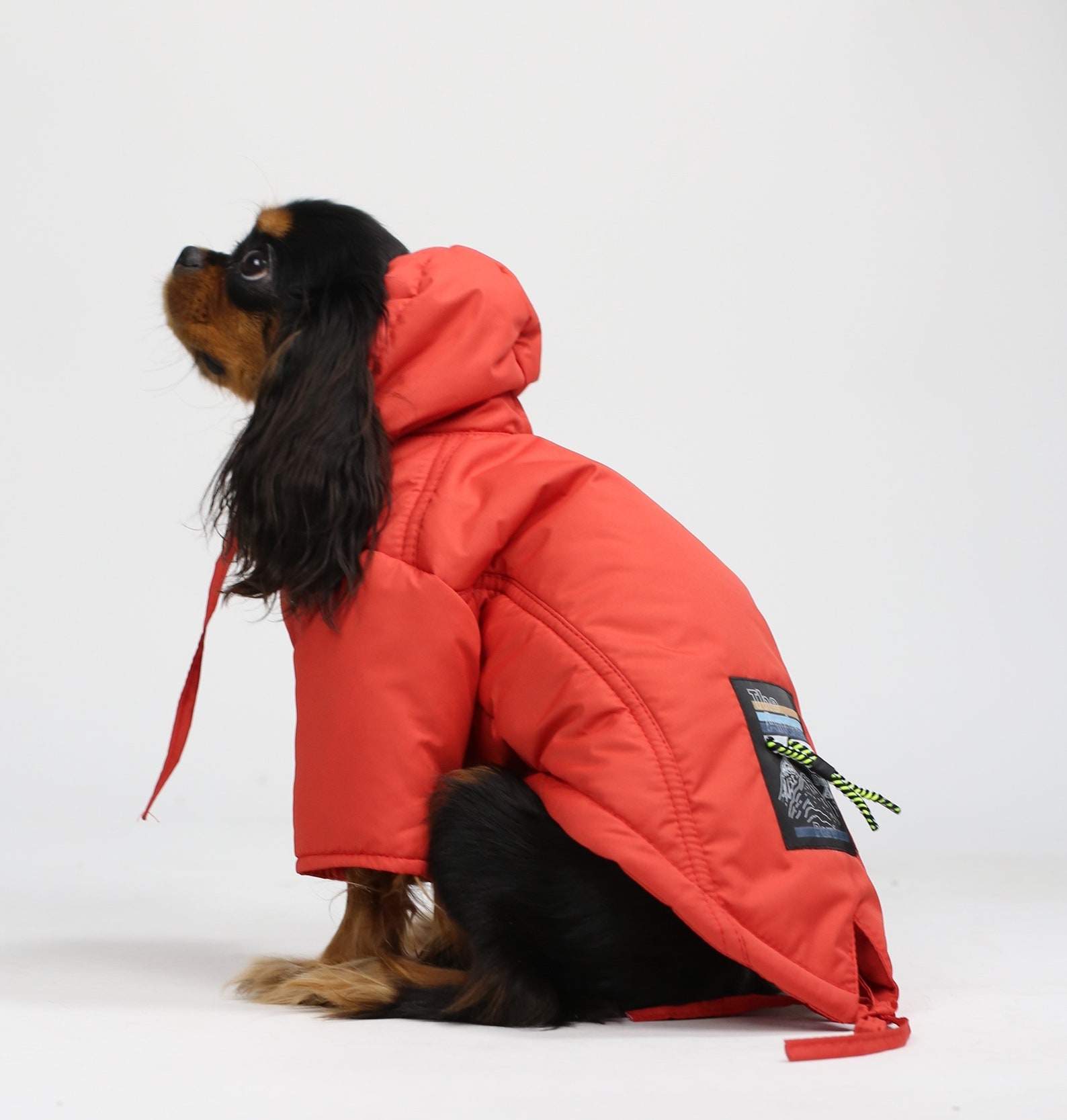 Warm Winter Dog Clothing, Warm Dog Coat With Legs, Easy On/off Dog
