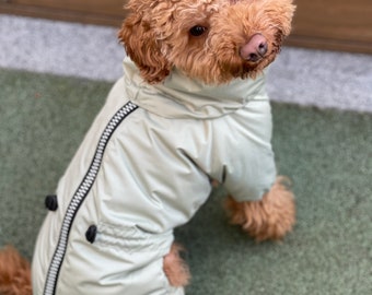 Dog Raincoat, Dog Rain Jacket, Pet Rain Jacket, Waterproof Dog Coat, Dog Jacket, Raincoat For Dog, Jacket For Dog, Windproof For Dog