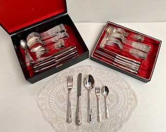 Cutlery Set Vintage Solingen in Original Case Stainless