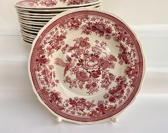 Plato hondo Fasan rojo vintage de Villeroy & Boch: diseño floral con pájaros.
