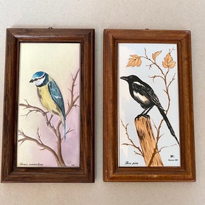 Vintage Bird Painting on Porcelain: Framed Belgian Botanical Art (Set of 2)