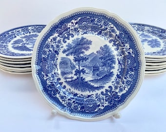 Plate Villeroy & Boch Burgenland Blue Dessert Plate Classic Old Series Vintage French Country Style Collectible Porcelain Plate Vintage