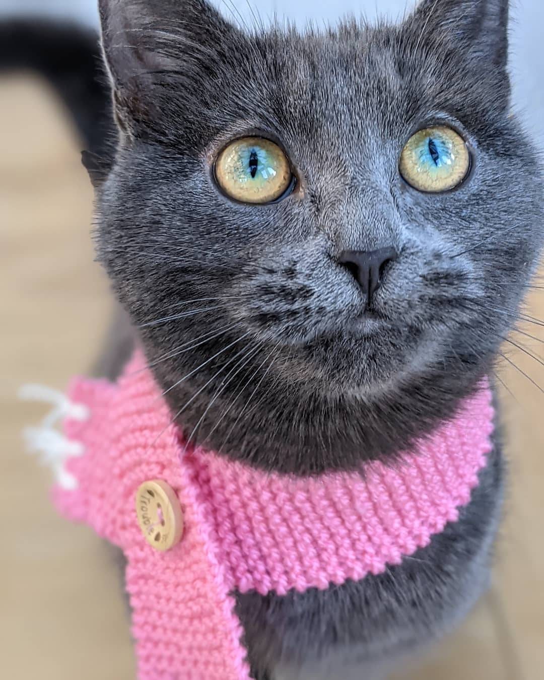 Handknitted tassel Cat Scarf Etsy
