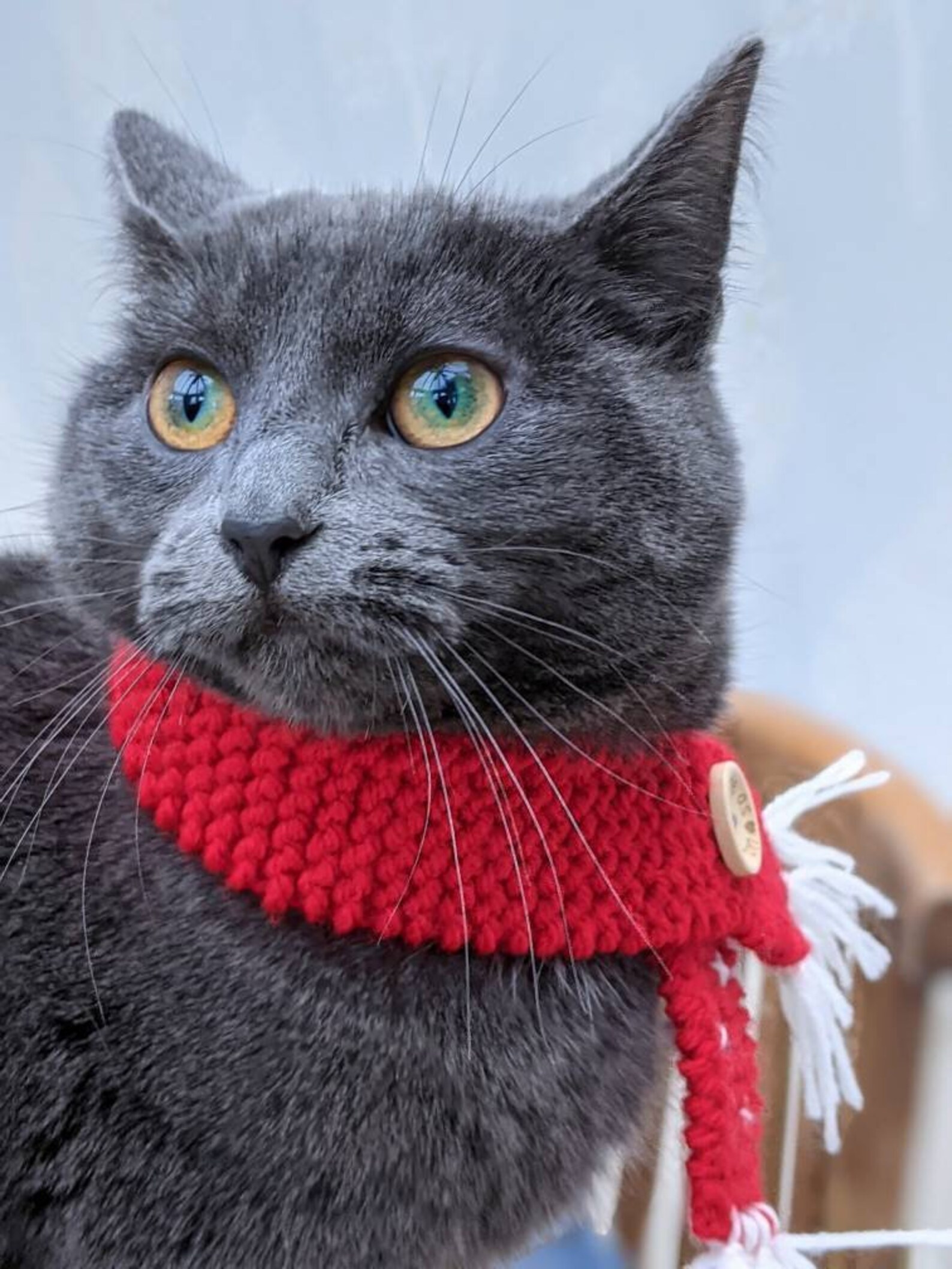 Handknitted tassel Cat Scarf | Etsy