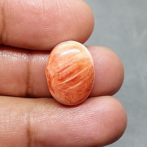 Natural Orange Spiny Oyster Oval Shape cabochon  [ 16.30 cts & 18 x 14 x 08 MM ]