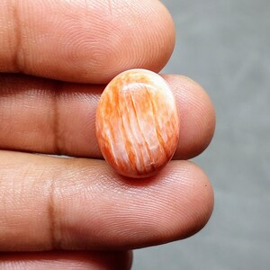 Natural Orange Spiny Oyster Oval Shape cabochon  [ 15.70 cts & 18 x 14 x 08 MM ]
