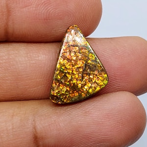 Natural Canadian Ammolite cabochon, top quality Ammolite fossil ( 10.25 crt / 20 x 13 x 04 MM )