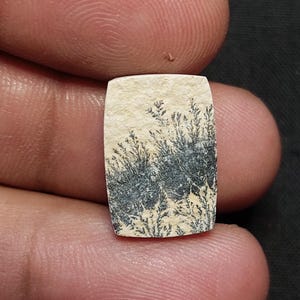 Psilomelane Dendrite Agate Slab | Natural Stone with Black Tree Pattern | Jewelry Making Supply [ 8.55 ct & 18 x 12 x 03 MM ]
