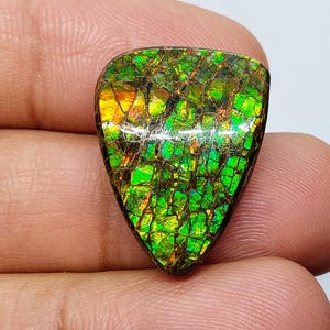 Natural Canadian Ammolite cabochon, top quality Ammolite fossil ( 21.50 crt / 25 x 29 x 05 MM )