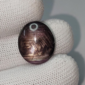 Op de afbeelding: Een gepolijste, ovaalvormige edelsteen met een donker, iriserend oppervlak. De steen heeft een mix van bruine, paarse en gouden tinten, met een opvallende lichtgekleurde ring aan de bovenkant. De edelsteen wordt tegen een witte, getextureerde achtergrond gehouden.