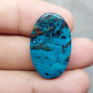 Może przedstawiać: Owalny kamień szlachetny o uderzającym połączeniu kolorów. Kamień ma żywą turkusową podstawę, pokrytą skomplikowanymi wzorami czerni, brązu i złota. Wypolerowana powierzchnia podkreśla naturalne piękno minerału.