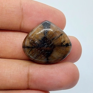 Rare Chiastolite Cabochon: Trillian Graphite Inclusion Stone (46.95 crt, 25x28x08 MM )