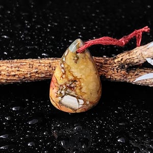 Gebohrtes Landschaftsjaspis Cabochon: Birnbaum Stein (18.80 Cts, 28x18x05 MM)