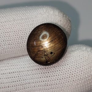 Op de afbeelding: Een gepolijste, ovaalvormige edelsteen met een donkerbruine en gouden kleur. De steen heeft een reflecterend oppervlak met een sterachtig effect. De edelsteen is geplaatst tegen een witte achtergrond.