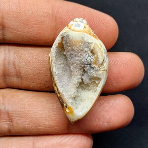May include: A natural, hollowed-out seashell, showcasing a geode-like interior. The shell is a mix of tan and cream colors, with a rough, textured surface. The inside is filled with a cluster of small, crystal-like formations.