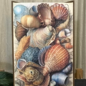 May include: A close-up of a collection of seashells in various shapes, sizes, and colors. The shells are arranged in a random pattern, with some overlapping others. The shells are mostly brown, white, and blue, with some hints of orange and pink. The shells are arranged on a white background.